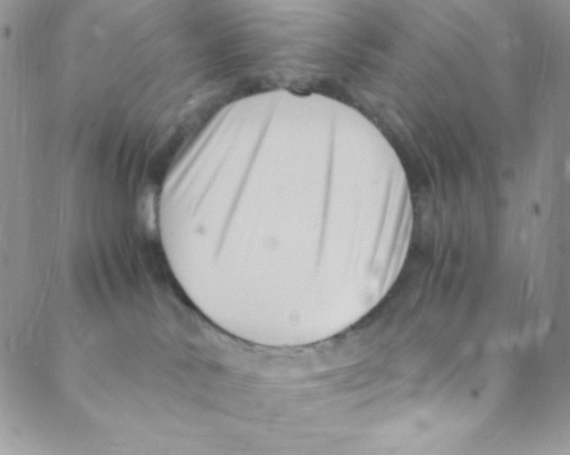 X0000088840042200707051458