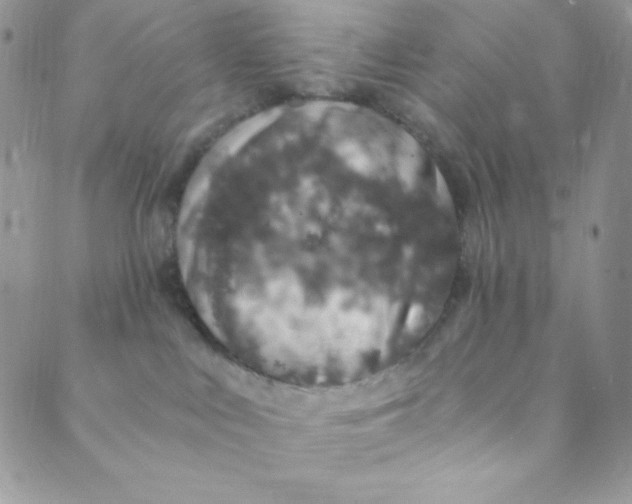 X0000088840043200707051458