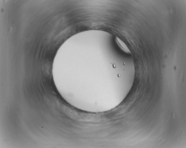 X0000088840044200707051458