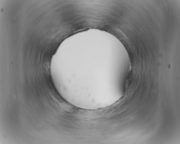 X0000088840045200707051458