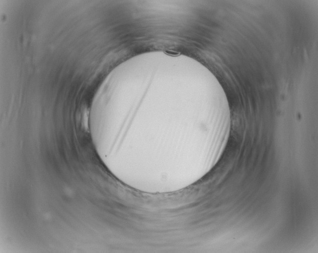 X0000088840046200707051458