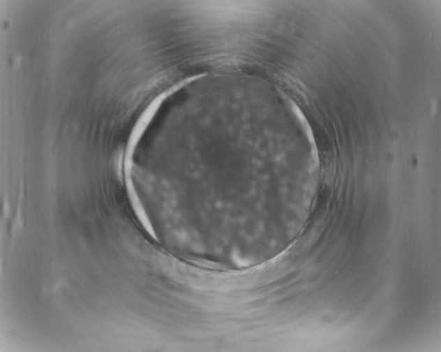 X0000088840047200707051458