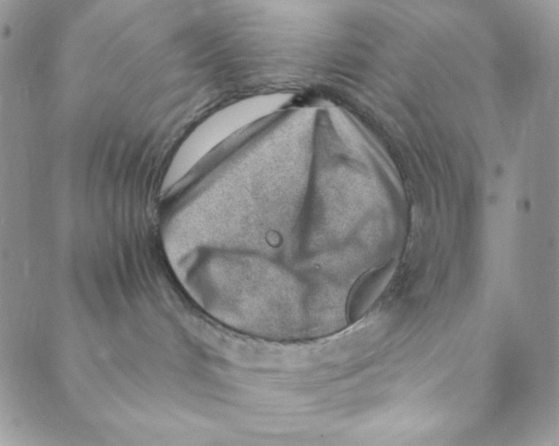 X0000088840048200707051458