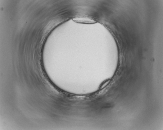 X0000088840049200707051457