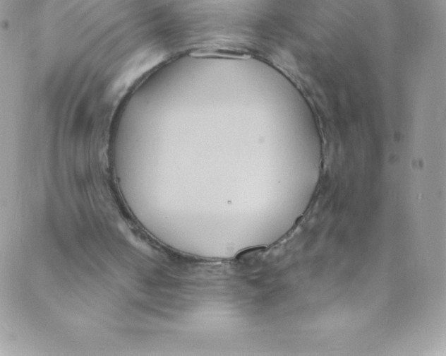 X0000088840050200707051457