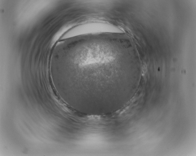 X0000088840052200707051457