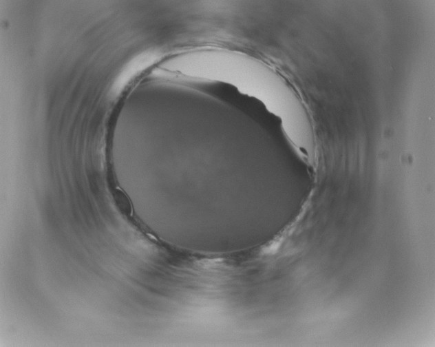 X0000088840054200707051458