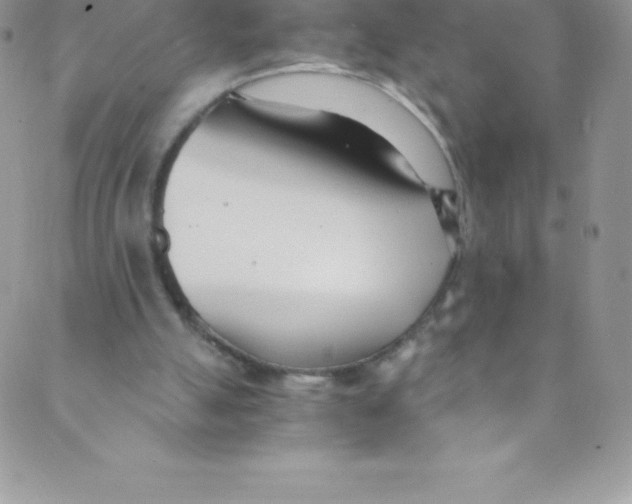 X0000088840055200707051458