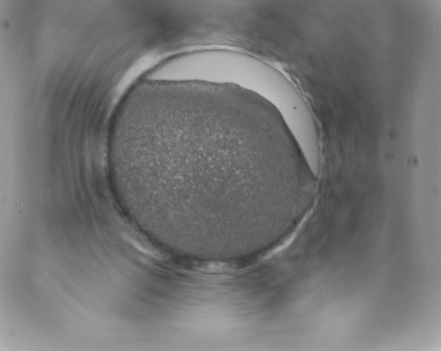 X0000088840056200707051458