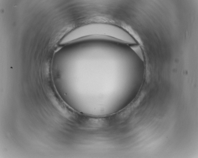 X0000088840057200707051458