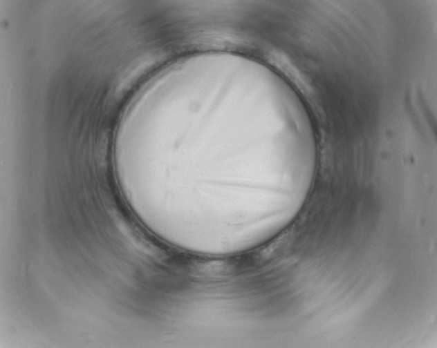 X0000088840058200707051458