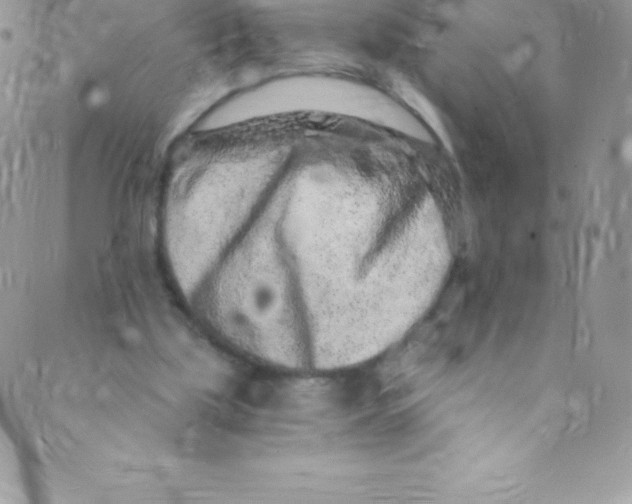 X0000088840059200707051458