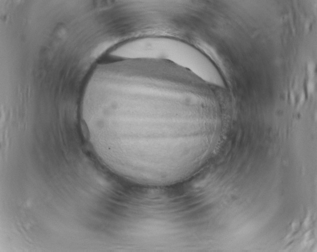 X0000088840060200707051458