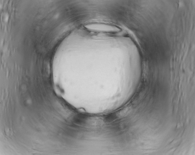 X0000088840061200707051458