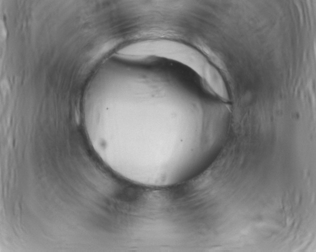 X0000088840062200707051458