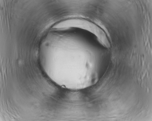 X0000088840063200707051458