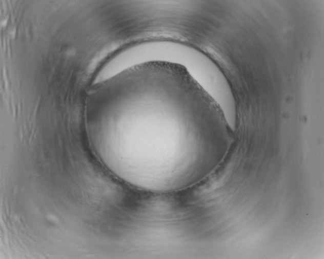 X0000088840064200707051458