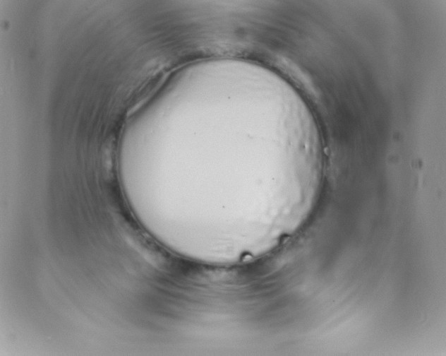 X0000088840065200707051458