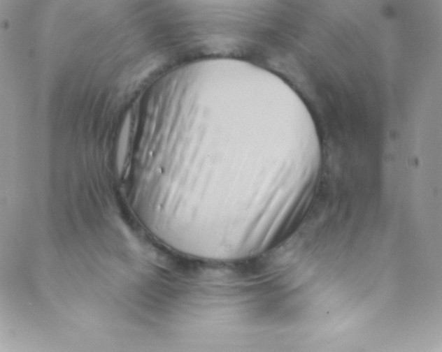 X0000088840066200707051458