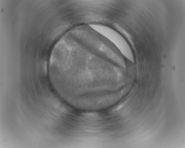 X0000088840067200707051458