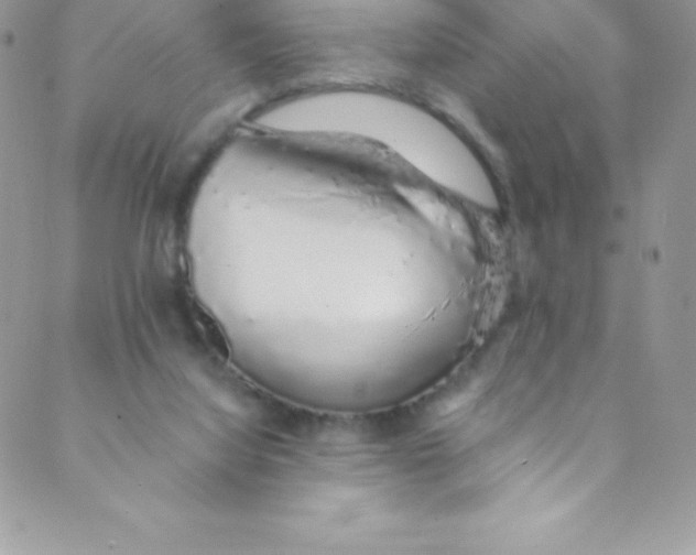 X0000088840068200707051458