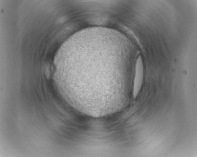 X0000088840069200707051458