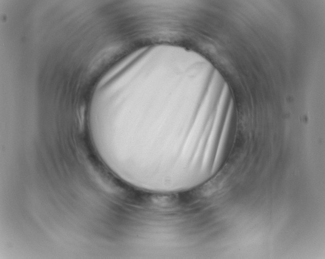 X0000088840070200707051458