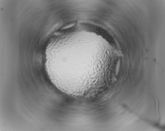 X0000088840072200707051458