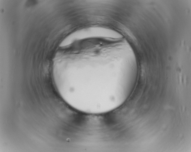 X0000088840073200707051458