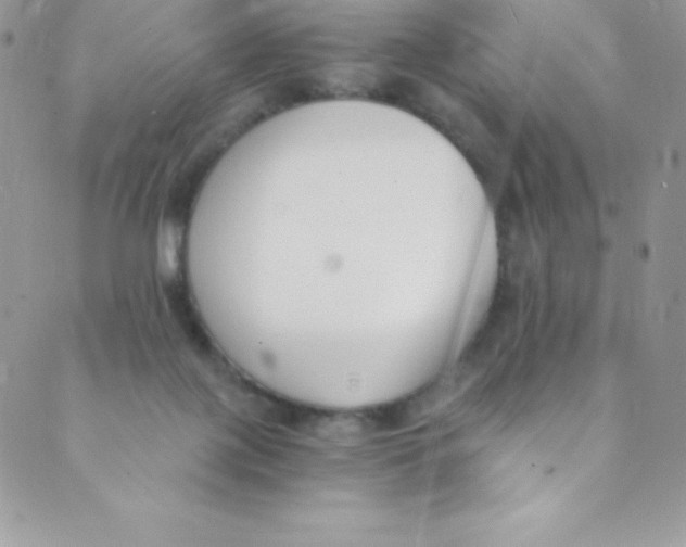 X0000088840075200707051458