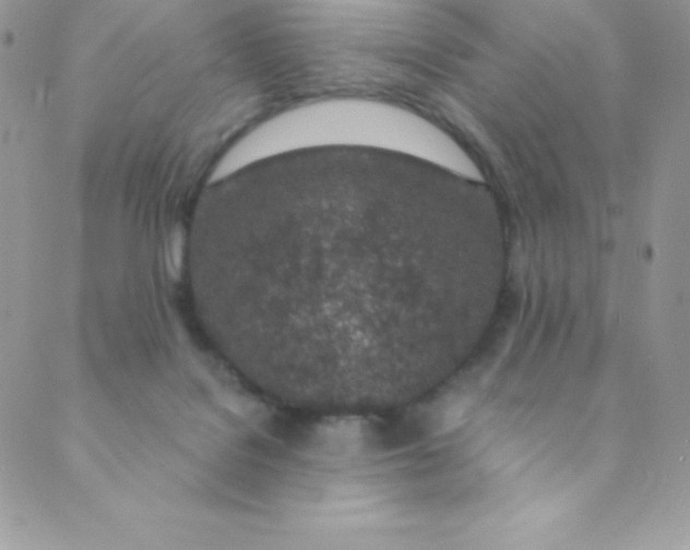 X0000088840076200707051458