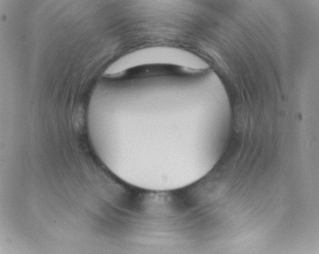 X0000088840077200707051458