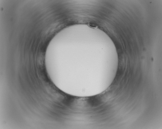 X0000088840078200707051458