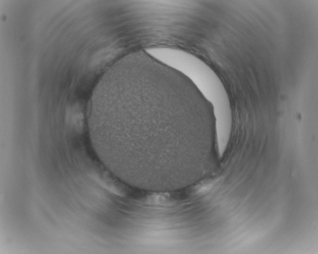 X0000088840080200707051458