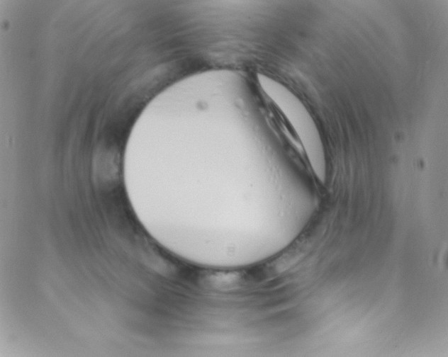 X0000088840081200707051458