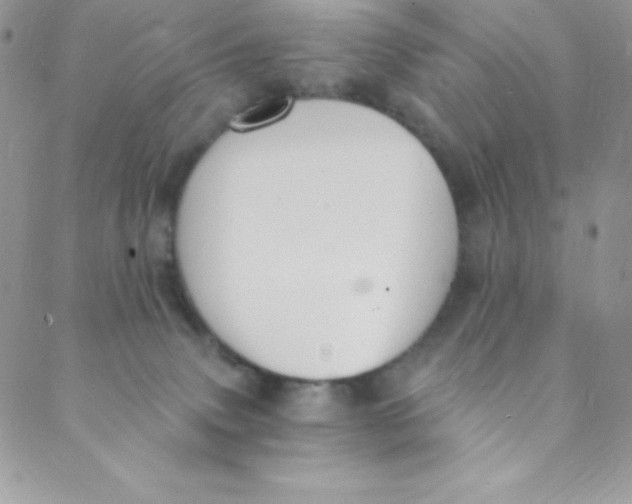 X0000088840083200707051458