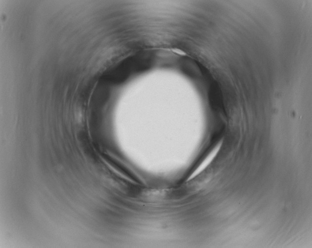 X0000088840084200707051458