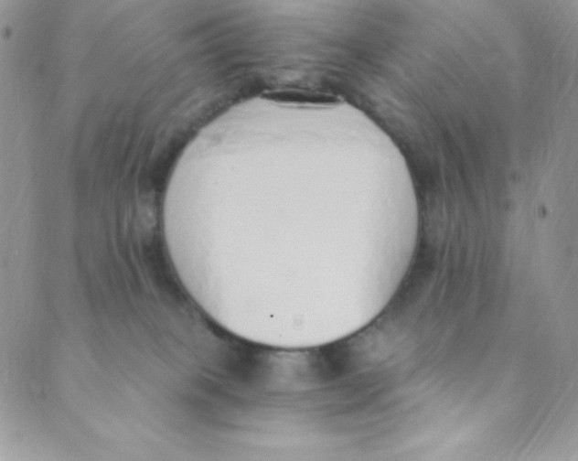 X0000088840085200707051458