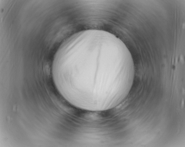 X0000088840086200707051458