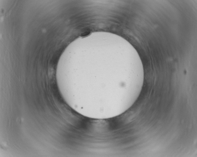 X0000088840087200707051458