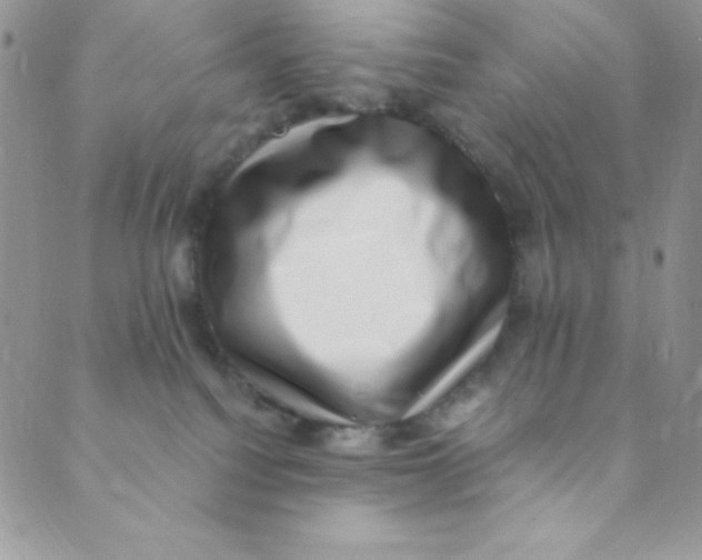 X0000088840088200707051458