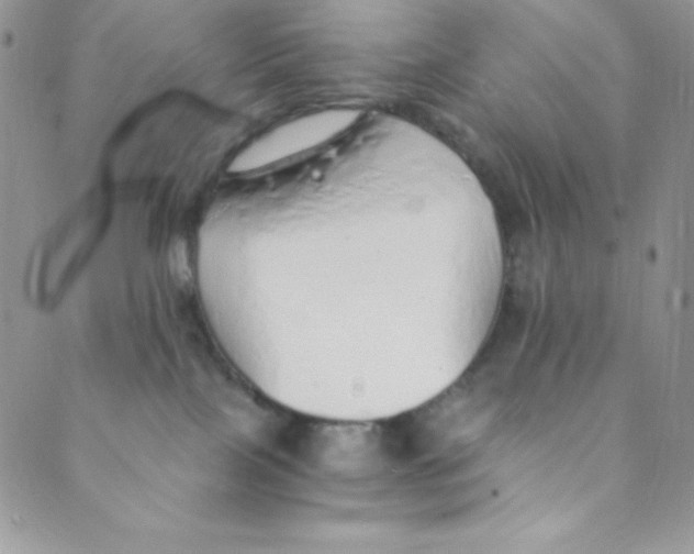 X0000088840089200707051458