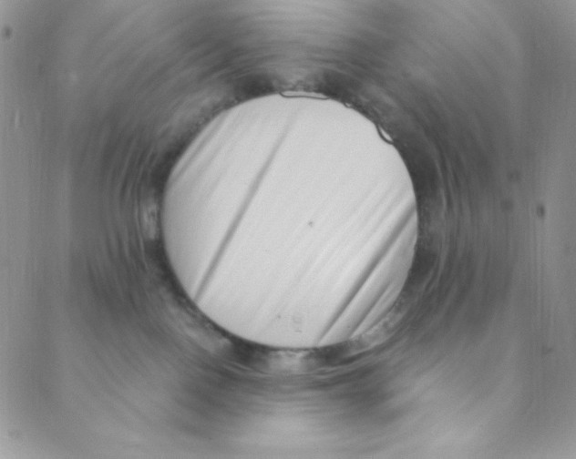 X0000088840090200707051458