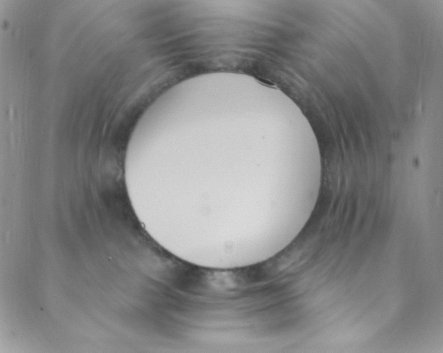 X0000088840091200707051458