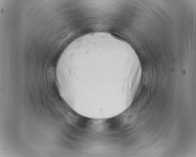 X0000088840093200707051458