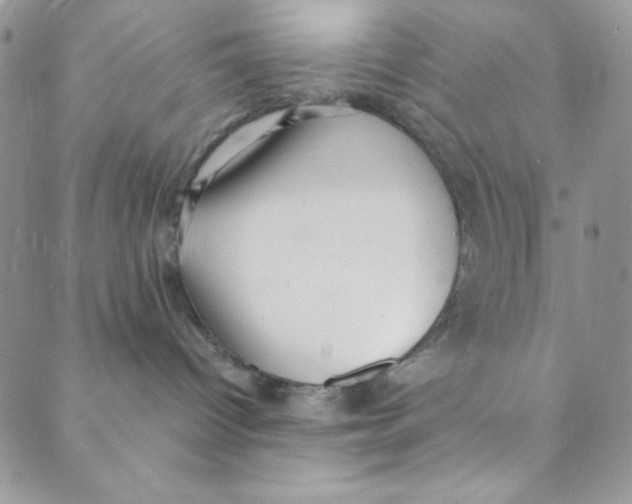 X0000088840096200707051458