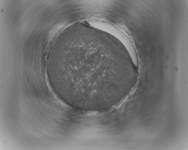 X0000088840097200707051457