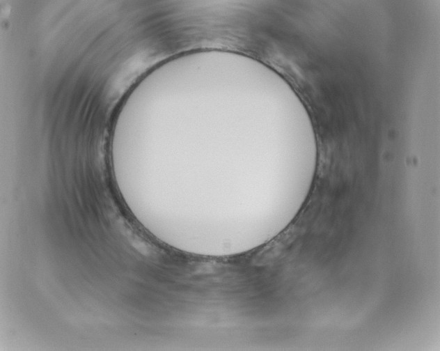 X0000088840098200707051457