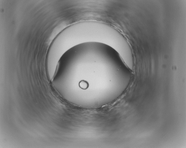 X0000088840099200707051457