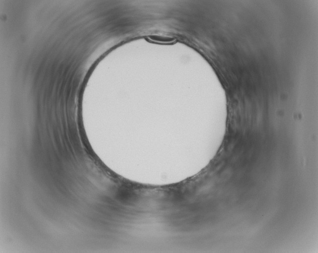 X0000088840100200707051457